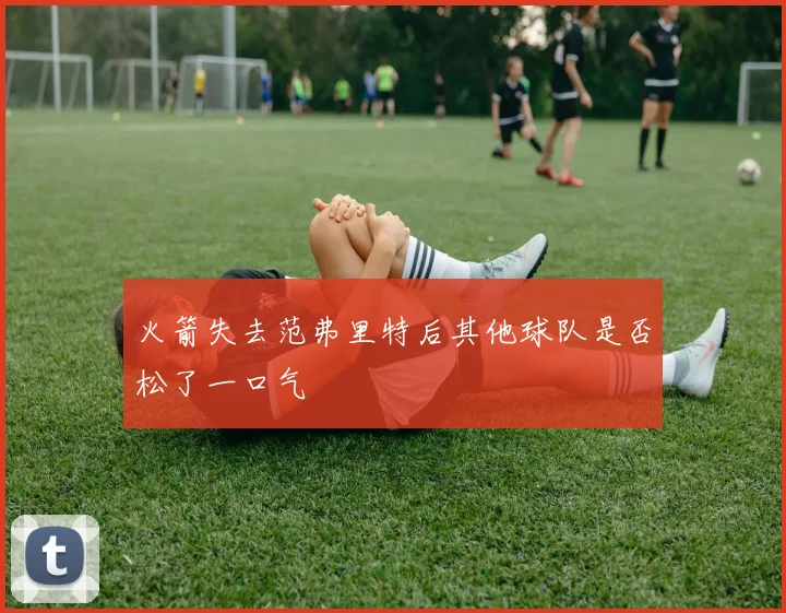 火箭失去范弗里特后其他球队是否松了一口气