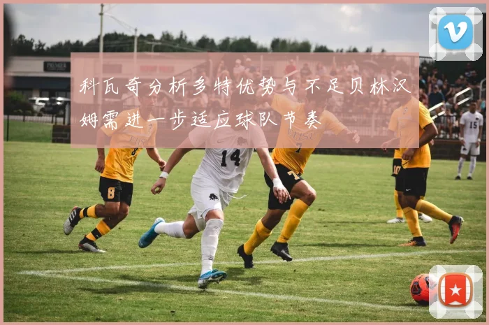 科瓦奇分析多特优势与不足贝林汉姆需进一步适应球队节奏