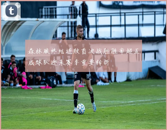 森林狼终结连败首次战胜胜率超五成球队迎来赛季重要转折