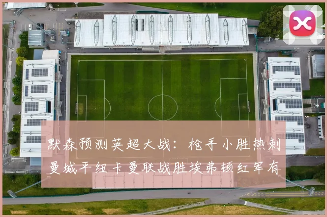 默森预测英超大战：枪手小胜热刺曼城平纽卡曼联战胜埃弗顿红军有望取胜
