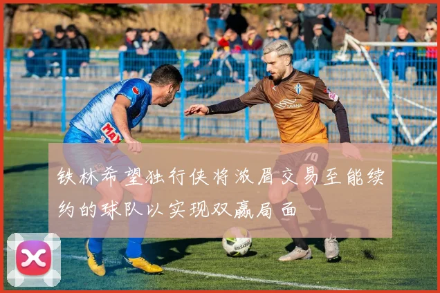 铁林希望独行侠将浓眉交易至能续约的球队以实现双赢局面