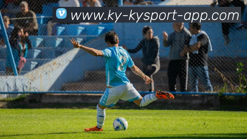 开云体育服务体系